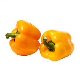 Capsicum Yellow
