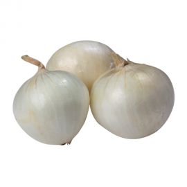 Onion White Spain