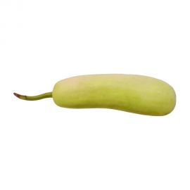 Bottle gourd vegetable500gm