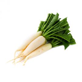 Radish White