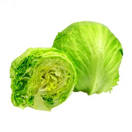 Iceburg Spain/holland