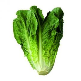Lettuce Lb/Jordan (Kass)