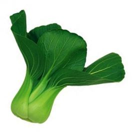 Bok Choi Pichai