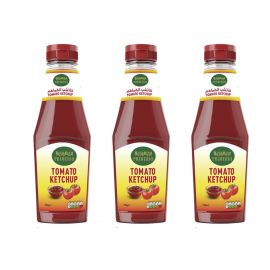 Primerio Tomato Ketchup Pet Bottle 2x730g