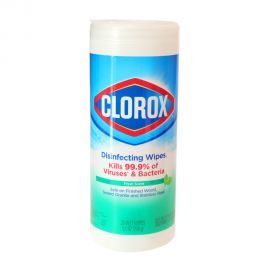 Clorox Disinfecting Wipes Can Fresh Scent 35ct