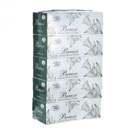 Cool & Cool - Breeze Facial Tissue 200's (4+1)
