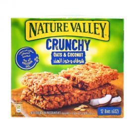 Nature valley Coconut Crunch 42gm