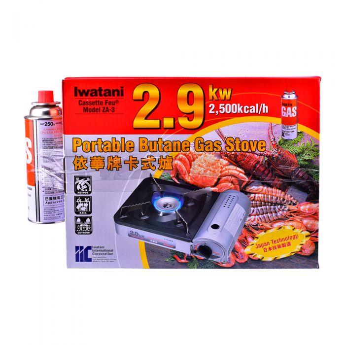 Iwatani Gas Stove